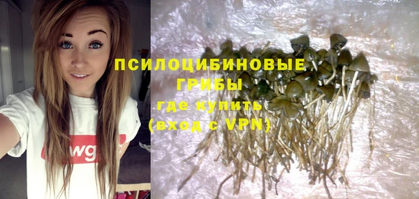 прущая мука Богородицк