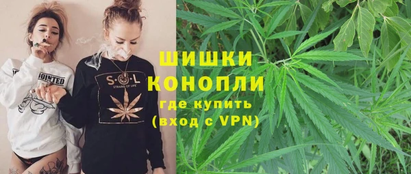 винт Богданович