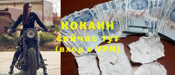 винт Богданович