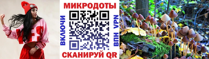 Купить где Маркс Псилоцибиновые грибы ЛСД